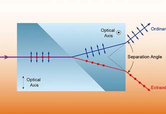 教你如何选择合适的偏振分束器